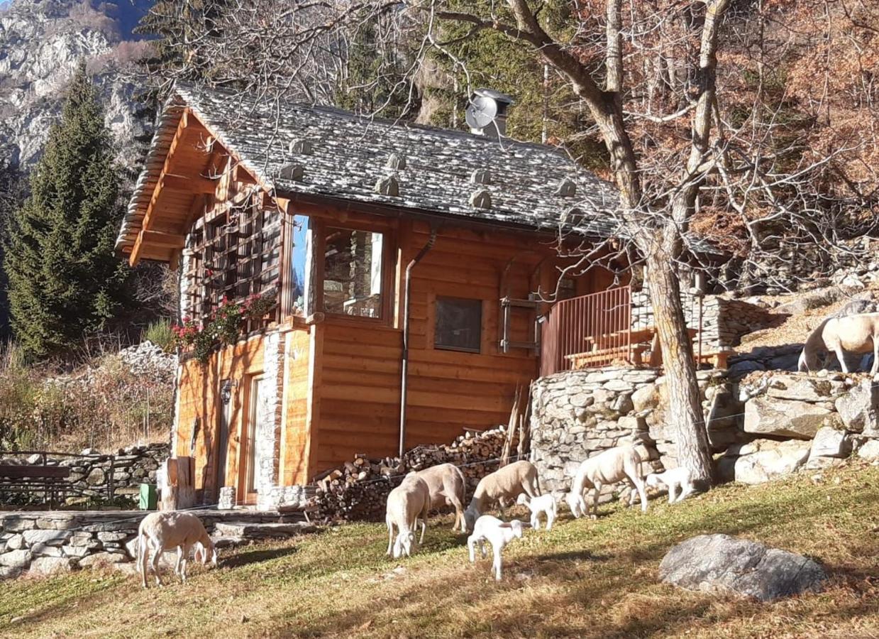 Baita Del Noce Mollia Екстериор снимка