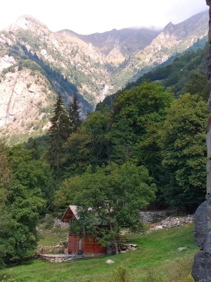Baita Del Noce Mollia Екстериор снимка